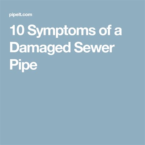 10 Symptoms of a Damaged Sewer Pipe 